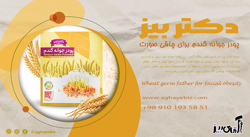 چاقی پودر جوانه گندم