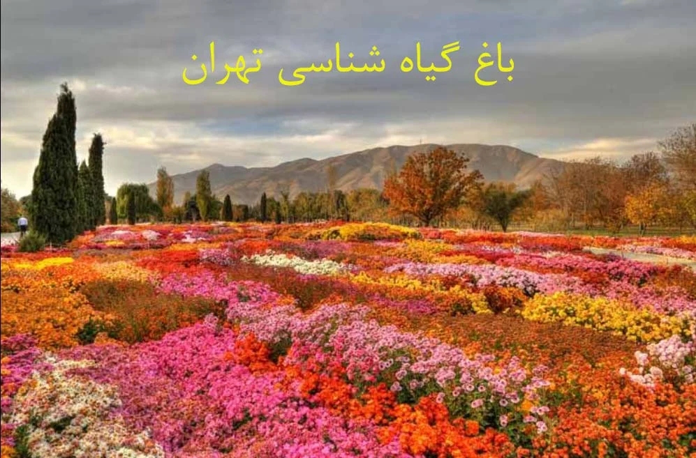 بلیط | البرز باغ گیاه شناسی تهران، بزرگترین باغ گیاه شناسی خاورمیانه