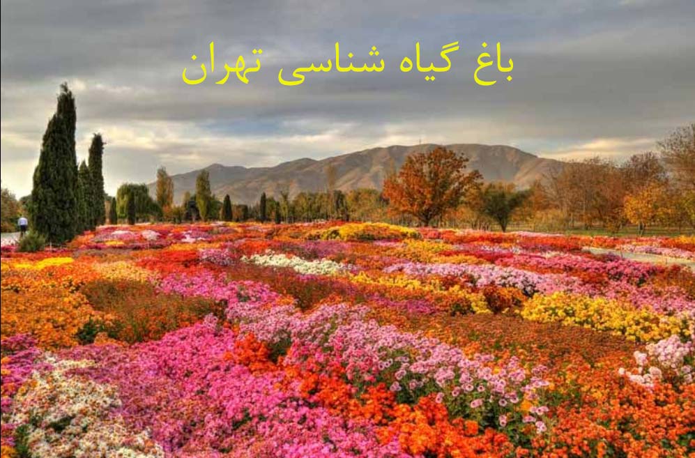 باغ گیاه شناسی تهران، بزرگترین باغ گیاه شناسی خاورمیانه