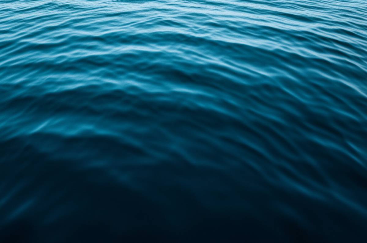 کتاب خلاصه جامع کتاب تا خلوت آبی آب | سید محسن محمد مکی